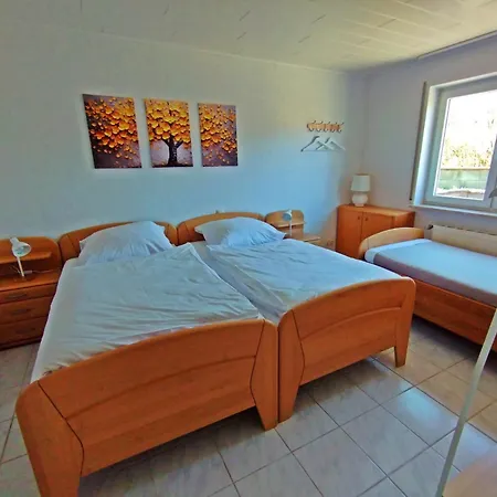 Apartment Gemuetliche In Ruhiger Lage, Naehe Luxemburg Und Trier - And Nature Olk *